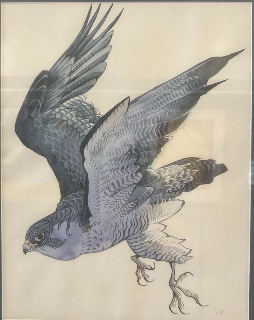 Bird watercolor by Crow Raughley