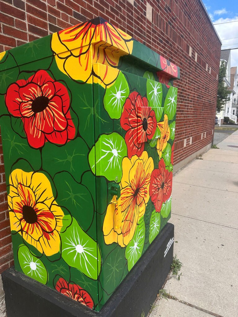 painted transformer in Belmont